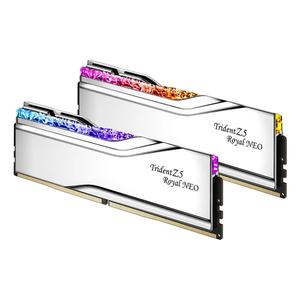 00202940-memoire-ram-pc-g-skill-f5-6400j3039g16gx2-tr5ns-argent-32-go