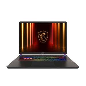 04005174-pc-portable-qhd-plus-240hz-u9-275hx-5080-32go-2to-w11-msi-vector-noir-17