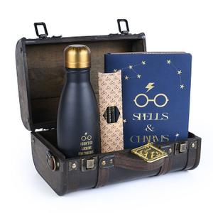 gp85536-boite-pyramid-harry-potter-trouble-finds-me-bleu-tu